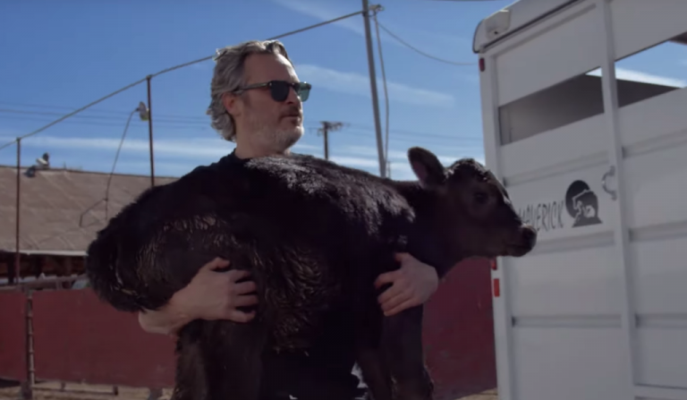 Gaurakshak ‘Joker’? Oscar Award winner Joaquin Phoenix rescues a cow and her baby calf from a slaughterhouse