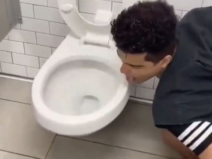 coronavirus toilet