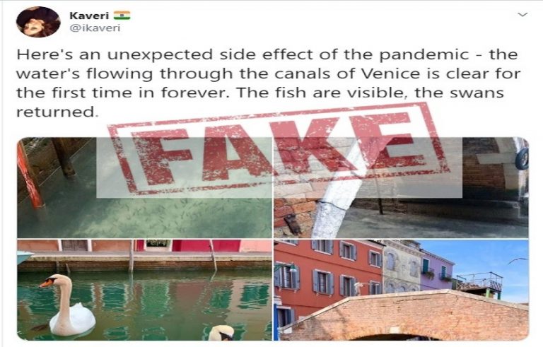Posts claiming presence of swans, dolphins in canals of Venice after Wuhan Coronavirus outbreak turns out to be misleading