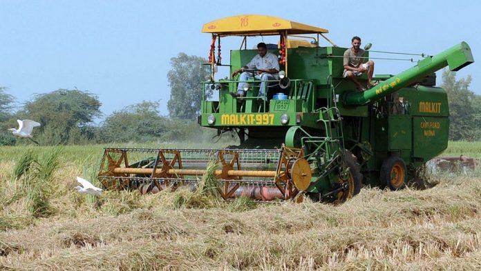 agriculture