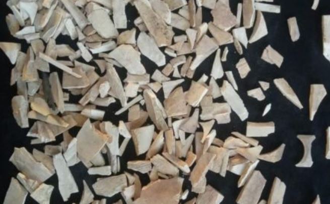 Archaeologists discover a huge cache of ivory pieces in ancient Bhanbhore city in Pakistan’s Sindh
