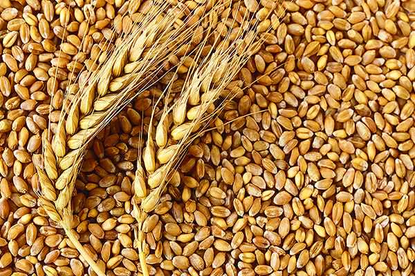Union Government to provide wheat at Rs 2 per kg, rice at Rs 3 per kg to 80 crore people for the next 3 months