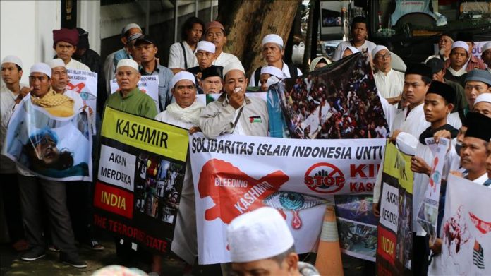 Indonesia: Radical Muslims 'protest' against Delhi anti-Hindu riots by waving ISIS flags and burning Indian flag, role of Pakistan suspected