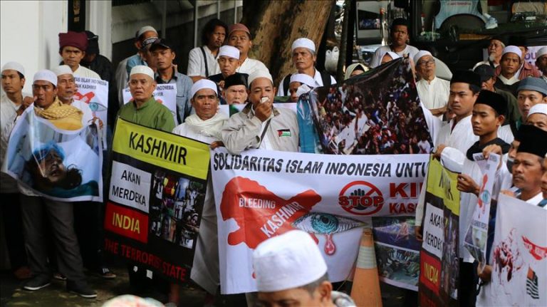 Indonesia: Radical Muslims ‘protest’ against Delhi riots by waving ISIS flags and burning Indian flag, role of Pakistan suspected