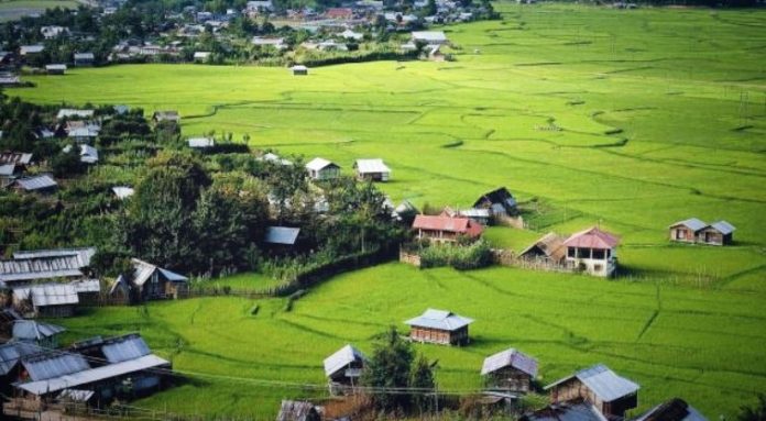 Ruralscape