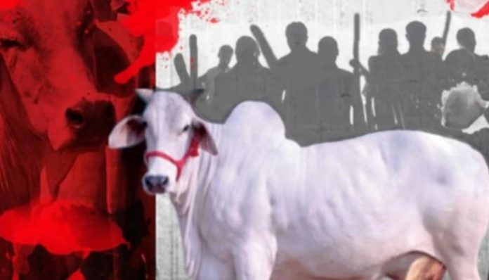 Drunken 'Christian converts' allegedly slaughter cow in Rajasthan
