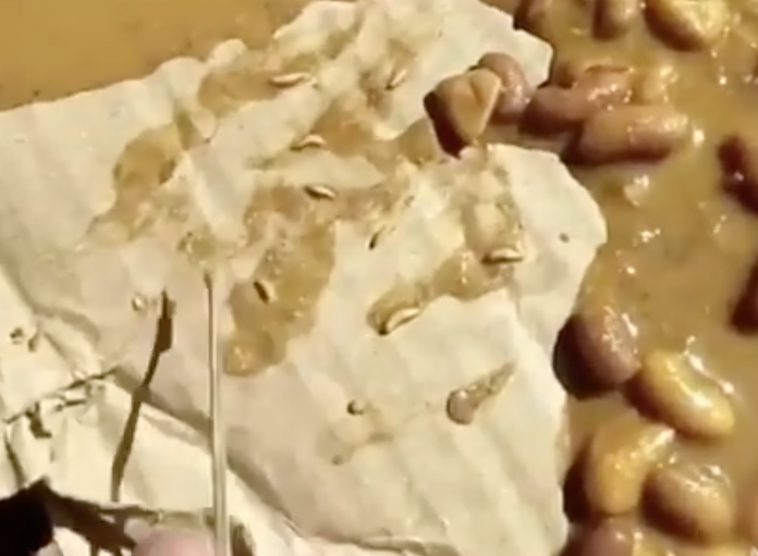 BJP leaders shares a video of meal provided by AAP government in Delhi, accuses them of serving worm-infested food to the poor