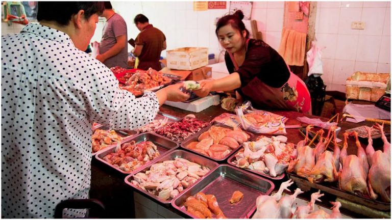 Within months of exporting Wuhan Coronavirus, China reopens wet markets selling bats, dogs, cats