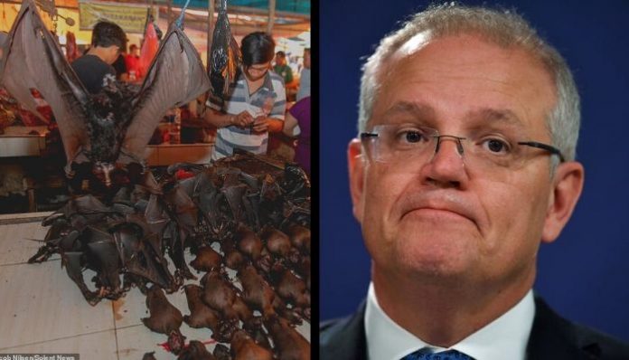 Wet Markets can be a real problem, Australian PM snubs China