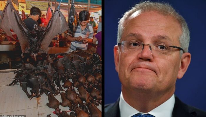 Wuhan coronavirus: Australian PM Scott Morrison calls for a global crackdown on China’s Wet Markets, asks WHO, UN to take action