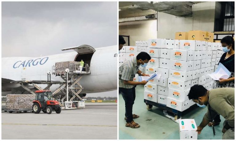 Coronavirus: No N95 masks or critical PPEs are being exported, govt allays fears in wake of claims on social media