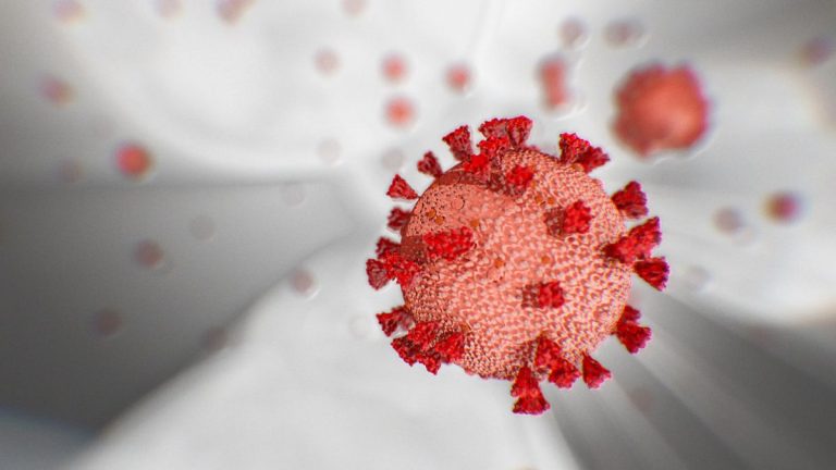 Coronavirus: As India crosses the 10,000 recovery mark, here are some graphs that show how is India faring during the pandemic