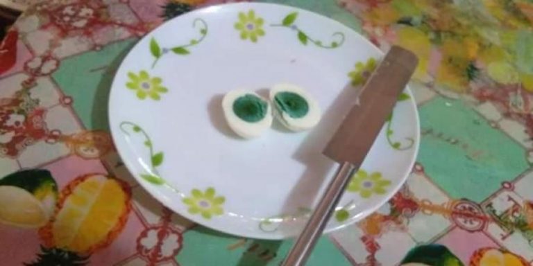 Chickens at poultry farm in Kerala lay eggs with green yolk, KVASU launches study