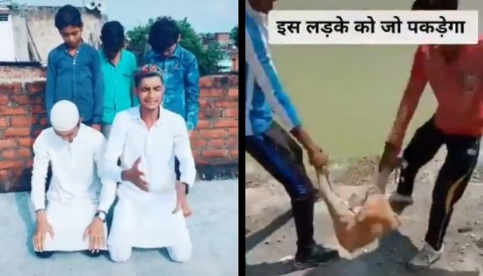 Viral TikTok videos advocate violence against Kaffir, animals and women