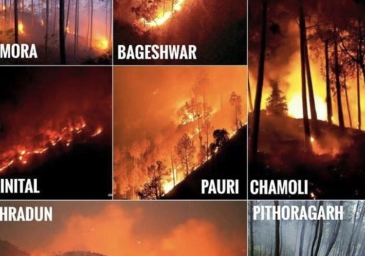 Uttarakhand forest department to file police case against those spreading fake photos of wildfire, Chief Conservator says such fires don’t occur in the state