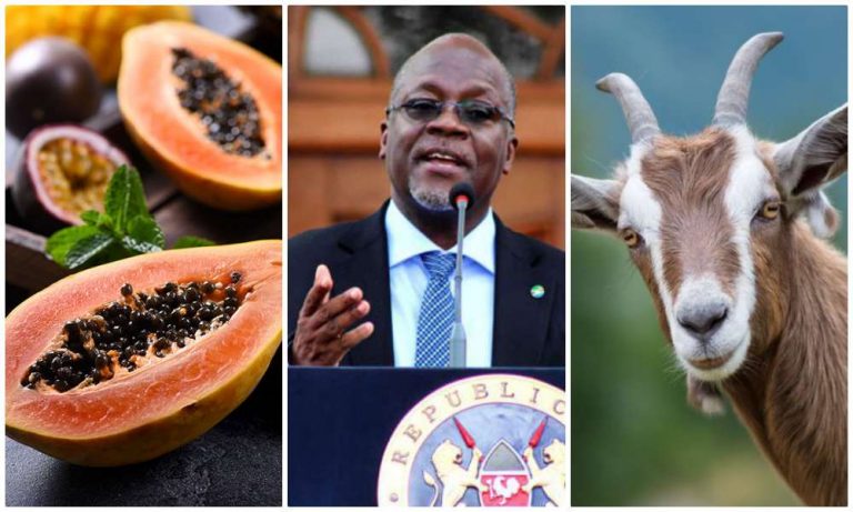 Tanzania President claims goat and papaya samples tested positive for coronavirus, suspends national lab head for ‘faulty testing’