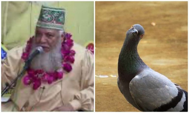 Pakistan, drinking pigeon sh*t slurry won’t cure coronavirus, leave the kabootars alone!