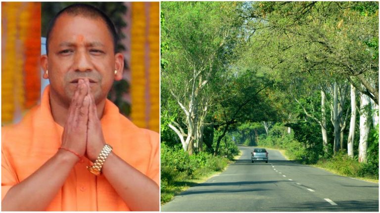 Uttar Pradesh govt to develop 800 km of  Herbal Belt, to cultivate Medicinal, Herbal trees along highways