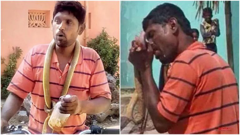 Angry drunk man in Karnataka bites snake into pieces after it crossed his path. Watch video