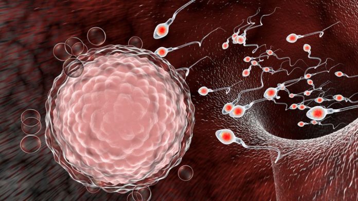 Recent study reveals that there is a slim chance of coronavirus being transmitted sexually