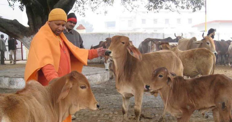 Uttar Pradesh govt approves ordinance against cow slaughter, stringent punishments included. Read details