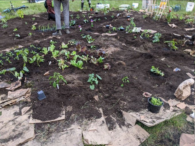 Trouble in Paradise: Citizens of ‘autonomous zones’ within the USA excrete in tents, farms unlikely to yield any fruits for leftist secessionists