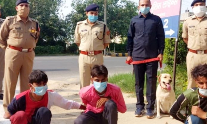 Mohammad Mohsin, a history sheeter with 10 cases of theft and animal smuggling against him, had strangled Vivek to death on May 31