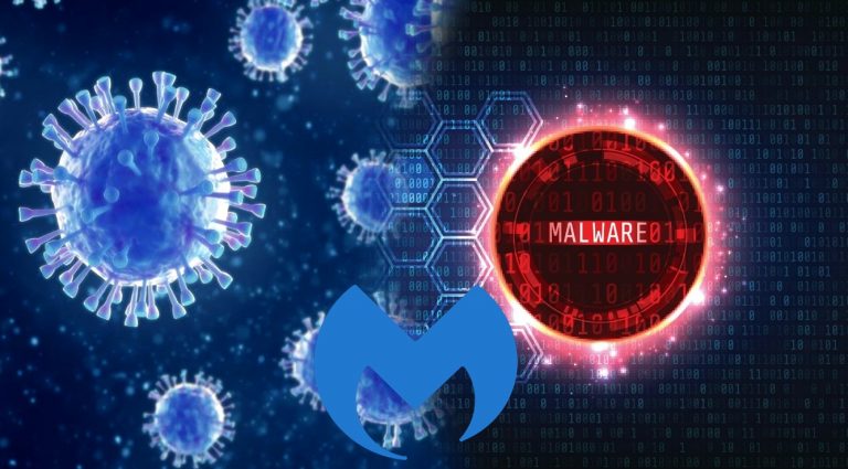 Internet security firm Malwarebytes Labs report says coronavirus campaigns causing a surge in malware attacks
