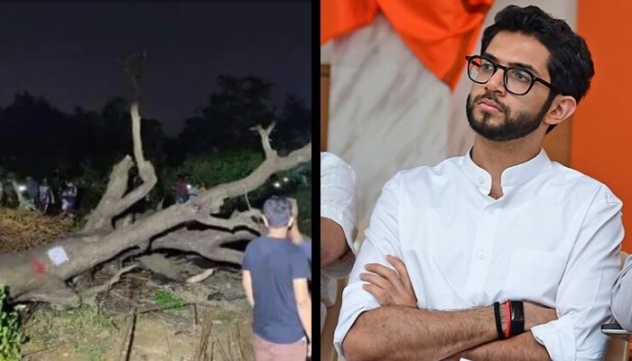 Shiv Sena’s U-turn: After protesting against felling of trees in Aarey for metro shed, BMC claims cutting trees for coastal road project ‘inevitable’
