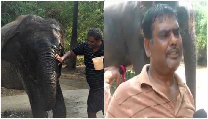 My own son is trying to kill me: Bihar’s Akhtar Imam nominates pet elephants as his legal heirs, alleges threat from family