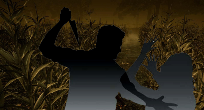 Meerut: Shakib posed as Hindu to trap Punjab girl who eloped with him with jewellery worth Rs 25 lakh, beheads her after revealing his identity