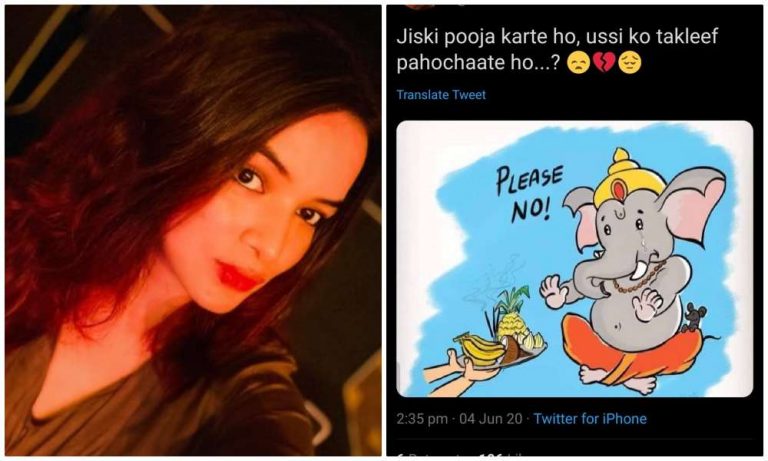 Times of India journalist Samina Shaikh tries to shame Hindus over the killing of pregnant elephant in Kerala
