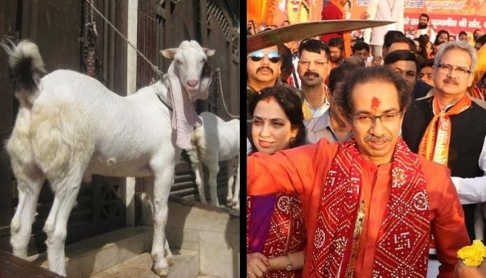 Maha Govt guidelines on Bakra Eid irks Congress Muslim leaders