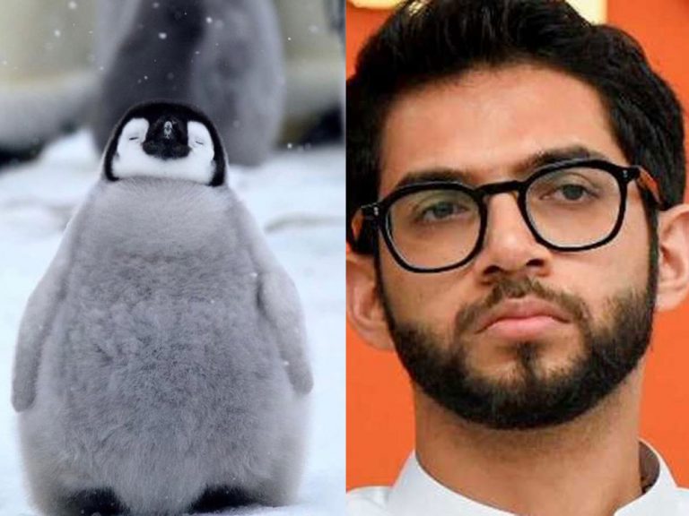 Here is why #BabyPenguin is trending on Twitter, and why Aaditya Thackeray is called so by some