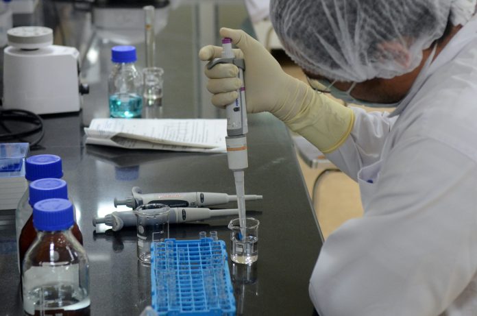 Report published in sunday times reveals coronavirus had stark resemblance with a frozen bat sample from 2013 in Wuhan Institute of Virology