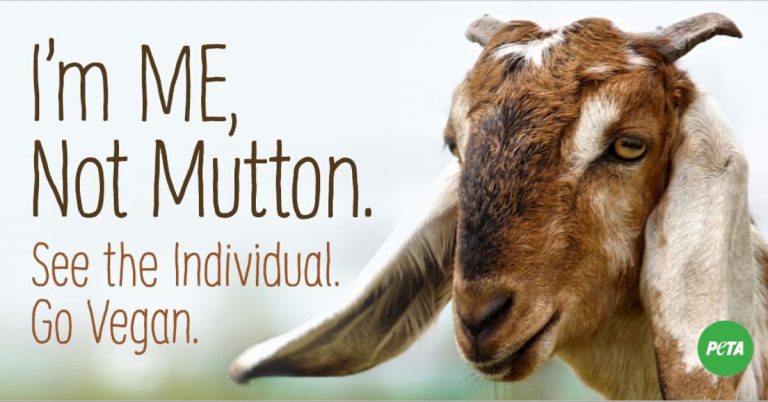 They removed the hoardings themselves: Lucknow Police confirms after PETA India claims no Maulana took an offence on anti-goat slaughter poster