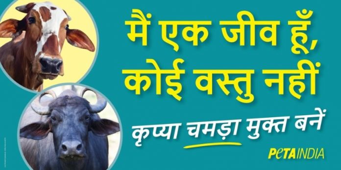 PETA India issued an 'apology' for its recent billboard