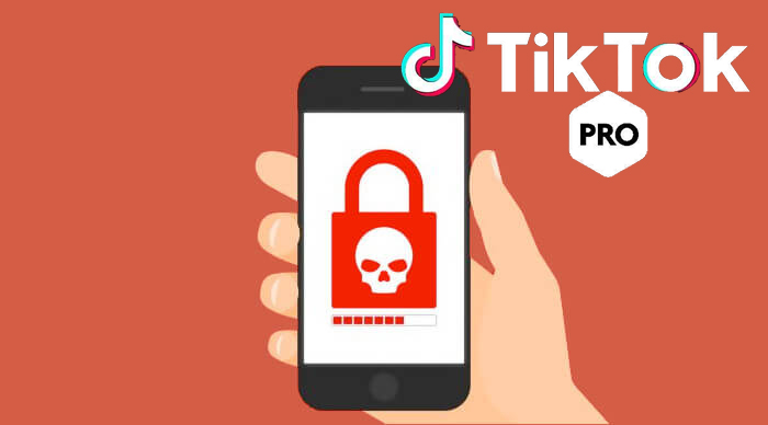 After Maharashtra and Punjab, Himachal Pradesh Cyber Crime Police issues warning against malware spreading app TikTok Pro
