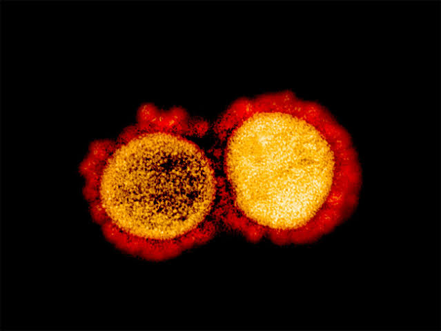 Malaysia: India returnee Nezar Mohamed imprisoned for 5 months for breaching home-quarantine as a deadly strain of coronavirus ‘D614G’ detected