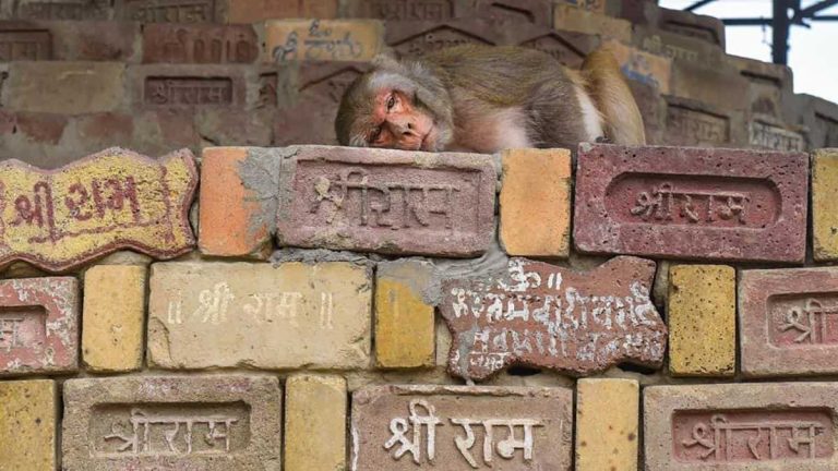 The 8 demands made by Zakat Foundation to concede Ram Janmabhoomi to Hindus during negotiations: Reservations for Muslims, delimitation of LS seats and more