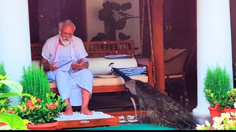 PM Modi shares videos of precious moments feeding peacocks, wins the internet