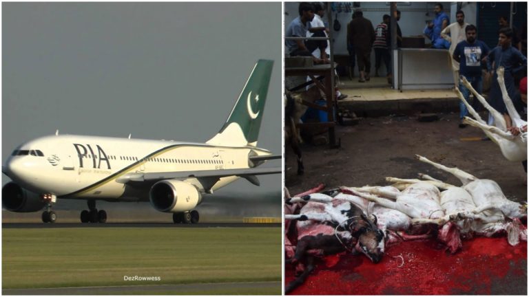 Pakistan bans dumping of animal waste generated after Bakrid sacrifices near airports as they can cause air crashes