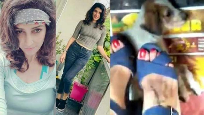Police files FIR against Pooja Dhillon after video of her crushing her puppy goes viral on the Internet