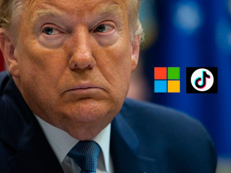Buy TikTok within 45 days or I will ban it: Trump tells Microsoft