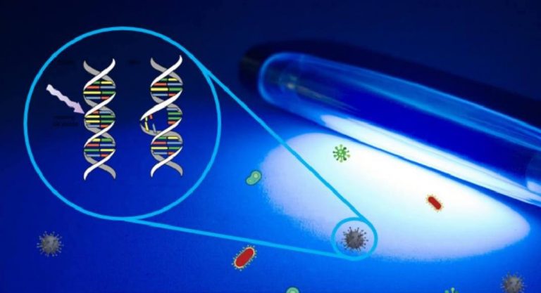Coronavirus: How ‘corona box’ technology is helping fight COVID-19 pandemic and opening up trade market in African countries