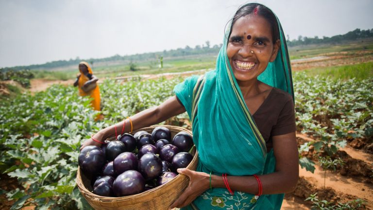 No more APMC monopoly, more choice, freedom for farmers to seek better prices for crops: All you need to know about the new bills by the Modi govt
