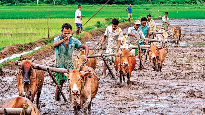 Farmer suicides lowest in India since the year 1995: Reports
