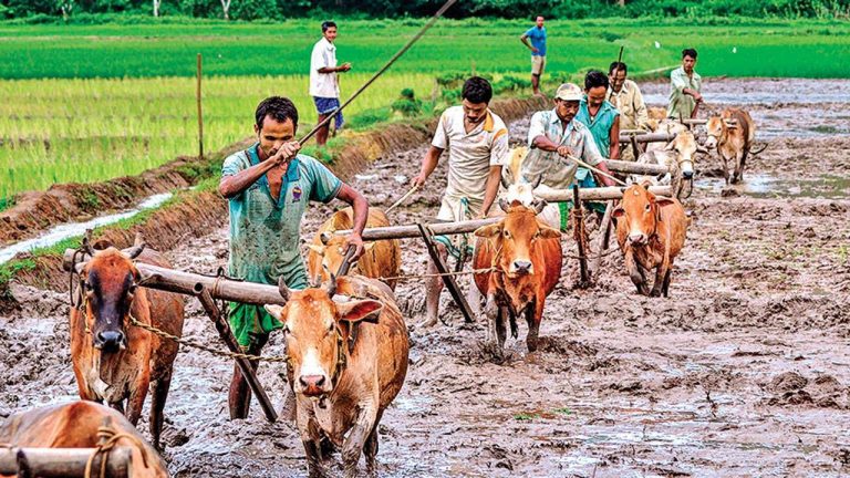NCRB data reveals that farmer suicides have been the lowest in India since 1995