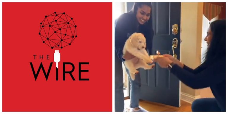 The Wire journalist loses her mind, claims Golden Retriever dog is ‘upper caste’