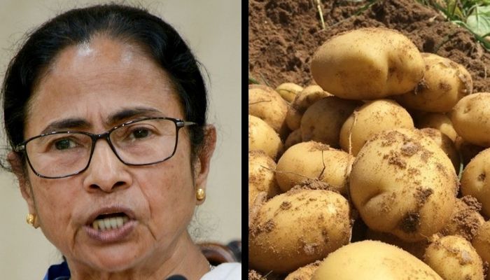 West Bengal: Unavailibity of cold storage, inefficient policies blamed for loss to potato farmers in the state